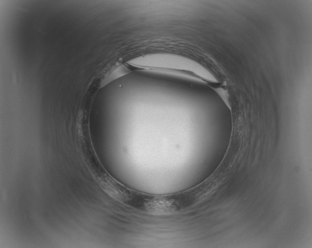 X0000075410217200610062006