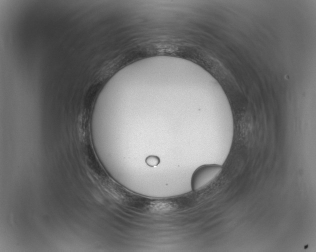 X0000075410218200610062006