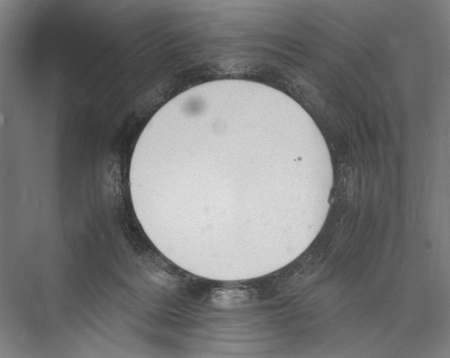 X0000075410220200610062006