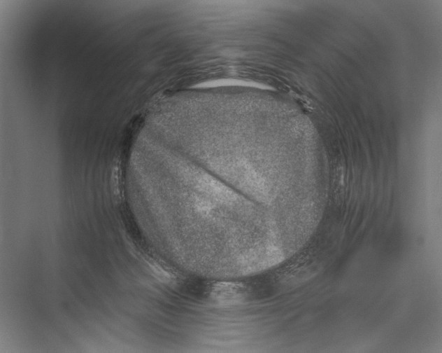 X0000075410222200610062006