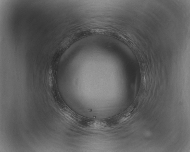 X0000075410223200610062006