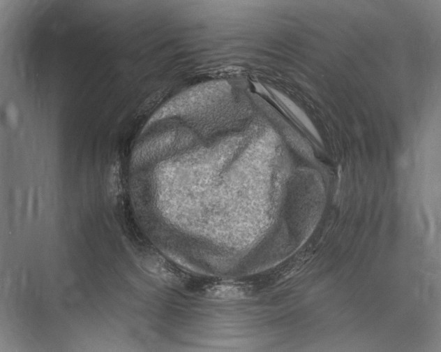 X0000075410224200610062006