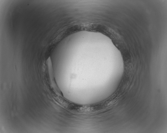 X0000075410225200610062006