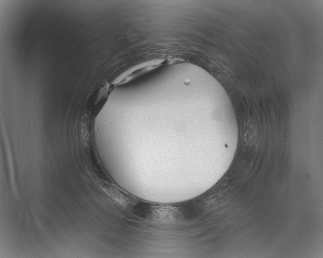 X0000075410226200610062006