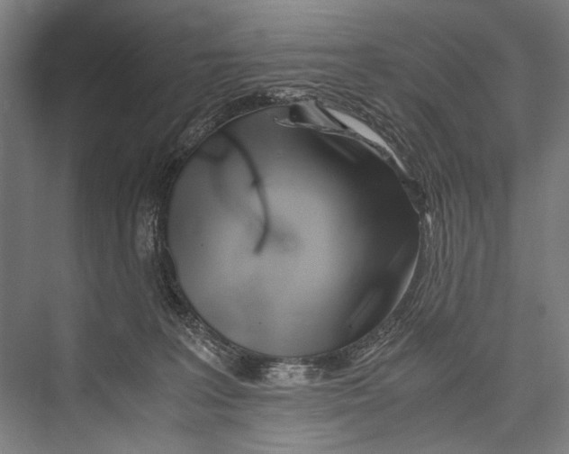 X0000075410227200610062006