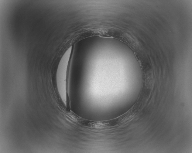 X0000075410229200610062006