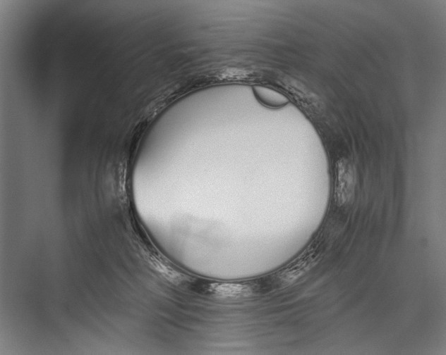 X0000075410230200610062006