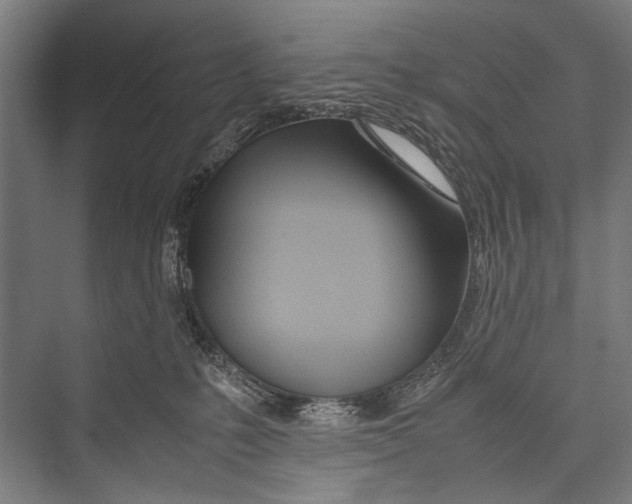 X0000075410231200610062005