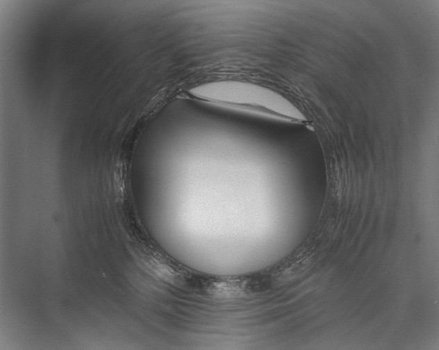 X0000075410232200610062005