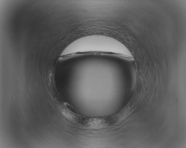 X0000075410235200610062005