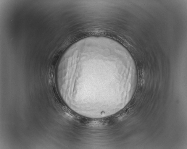 X0000075410236200610062005