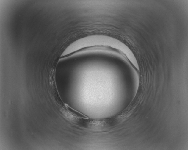 X0000075410237200610062005