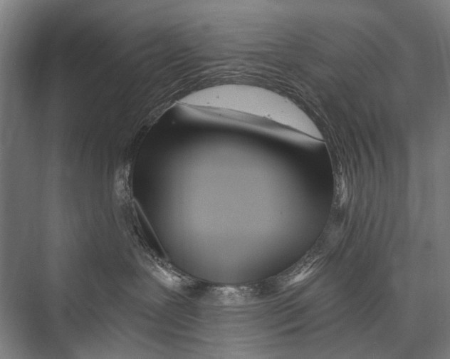 X0000075410239200610062005