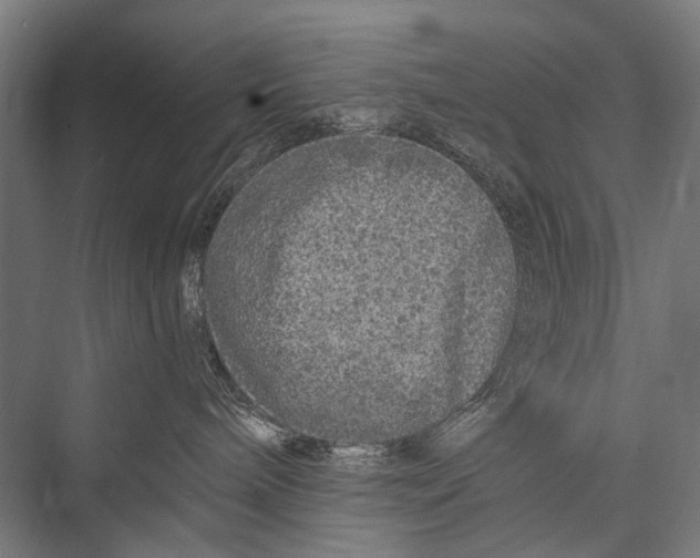 X0000075410240200610062005