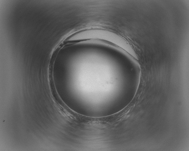 X0000075410244200610062005