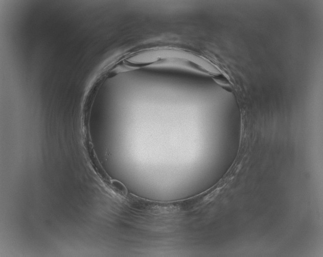 X0000075410245200610062005