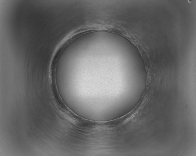 X0000075410246200610062005