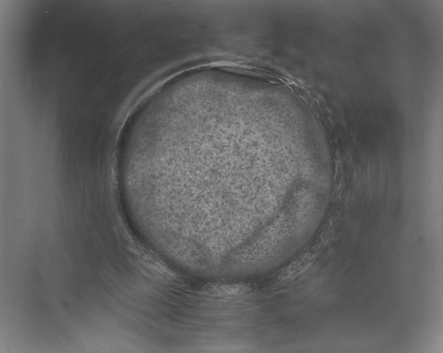 X0000075410247200610062005