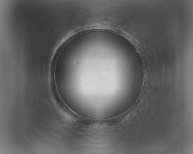 X0000075410248200610062005