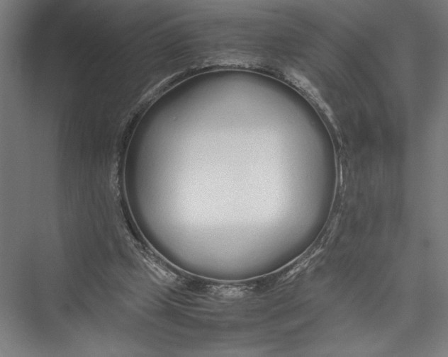 X0000075410249200610062005