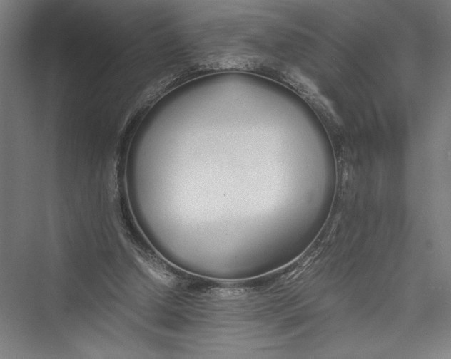 X0000075410250200610062005