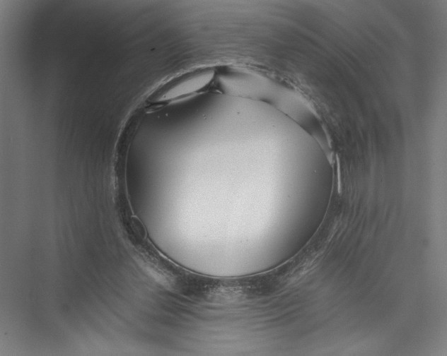 X0000075410252200610062005