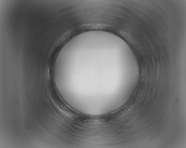 X0000075410254200610062005