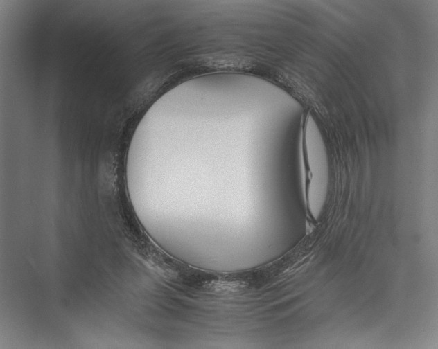 X0000075410255200610062005