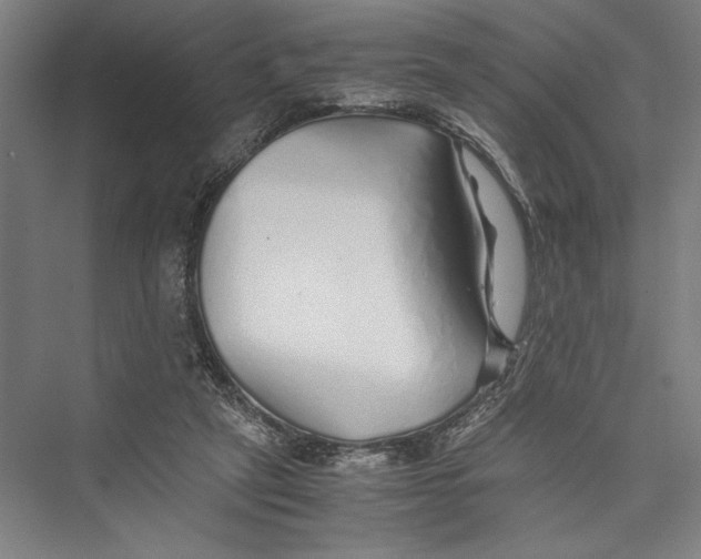 X0000075410257200610062005