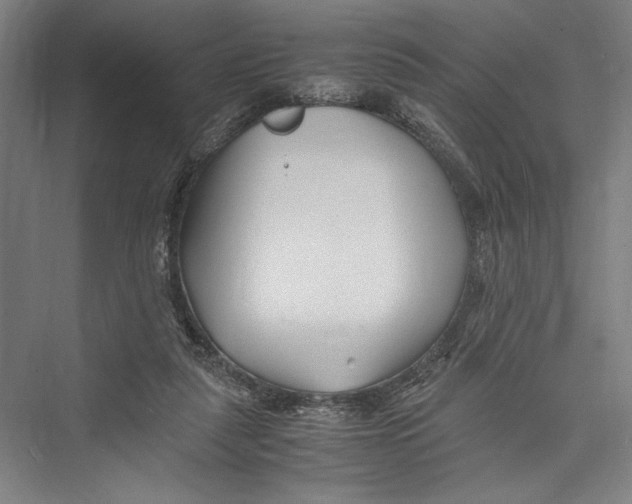 X0000075410259200610062005