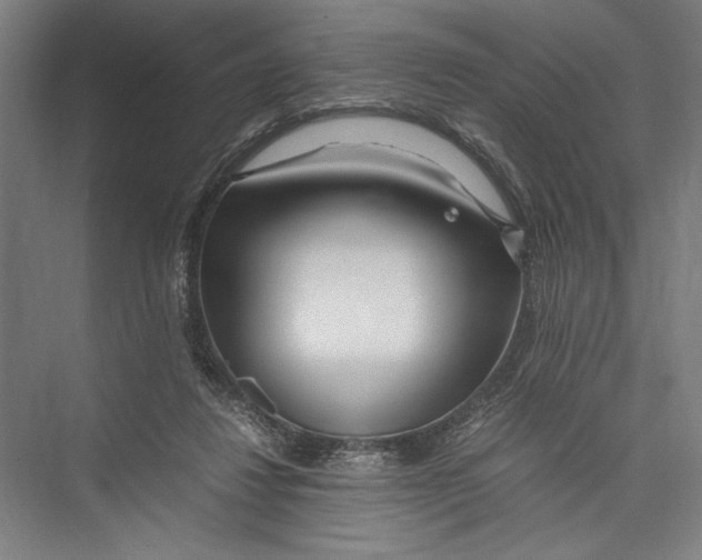 X0000075410260200610062005