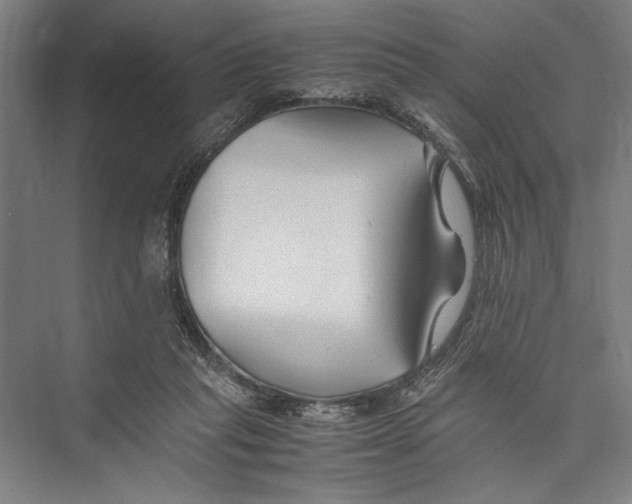 X0000075410261200610062005