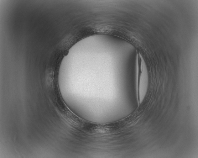 X0000075410263200610062005