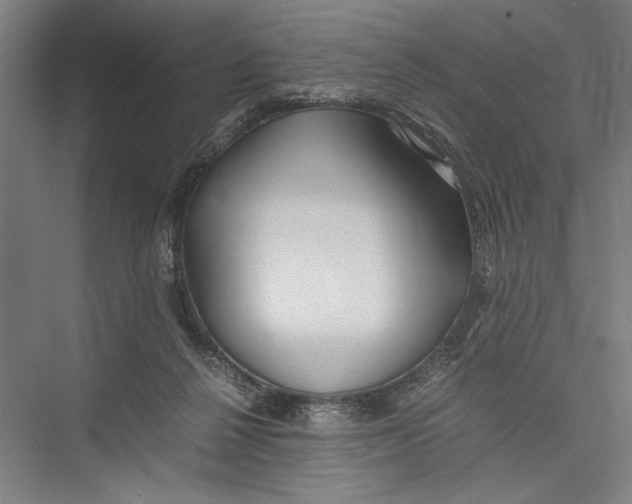 X0000075410264200610062005