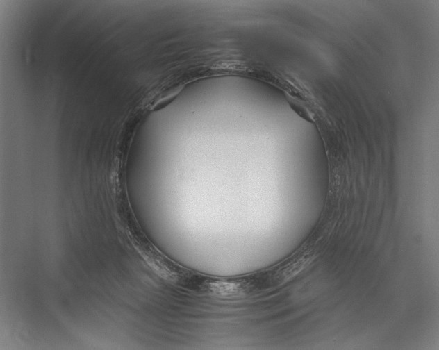 X0000075410265200610062005