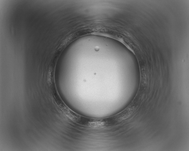 X0000075410266200610062005