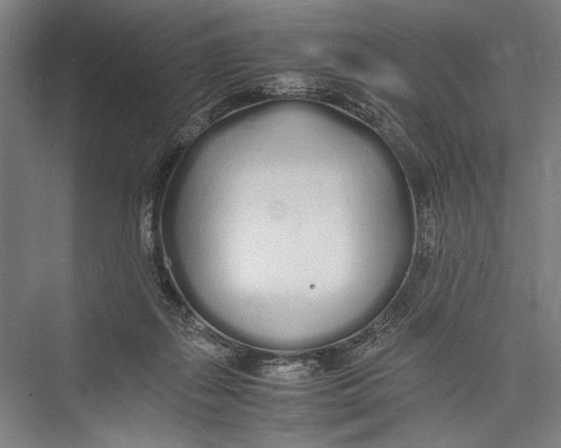 X0000075410267200610062005