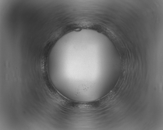 X0000075410268200610062005