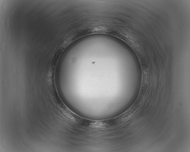 X0000075410269200610062005