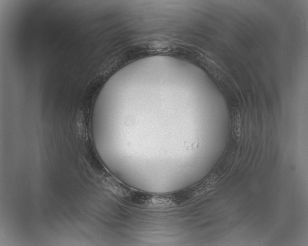 X0000075410270200610062005