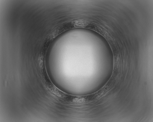 X0000075410271200610062005