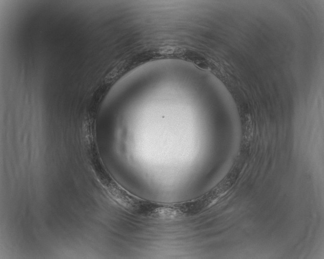 X0000075410272200610062005