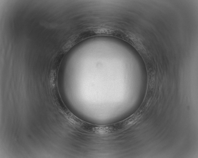 X0000075410273200610062005