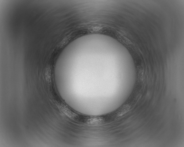 X0000075410274200610062005