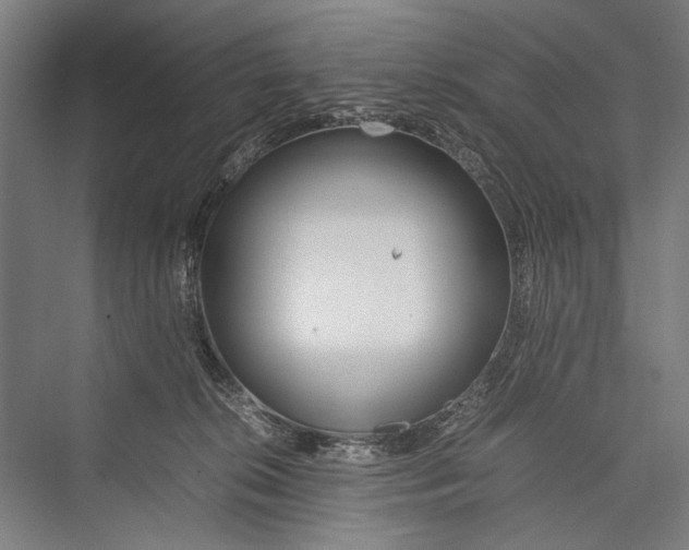 X0000075410276200610062005