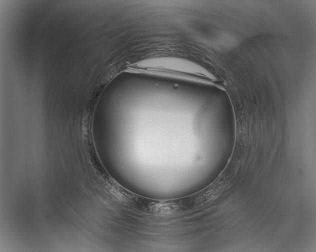 X0000075410277200610062005