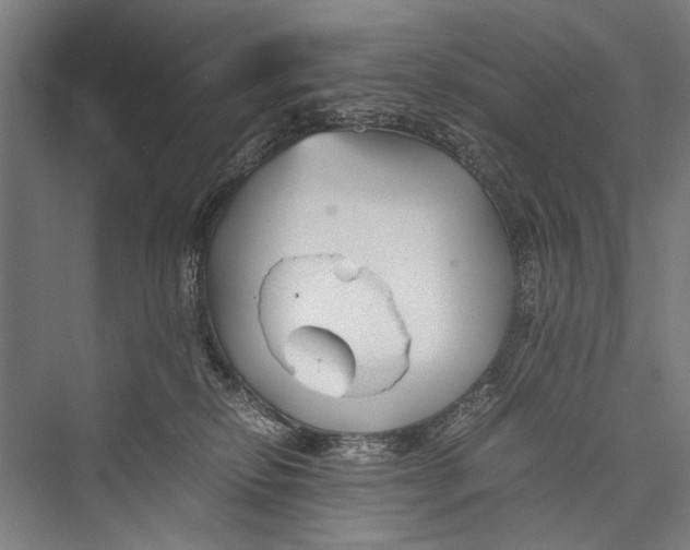 X0000075410278200610062005