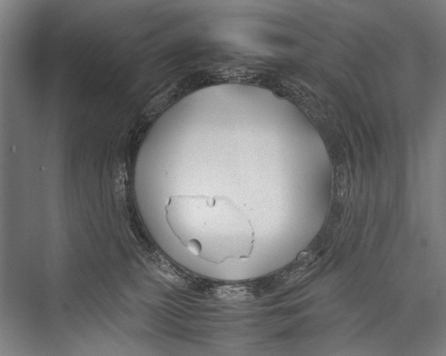 X0000075410279200610062005