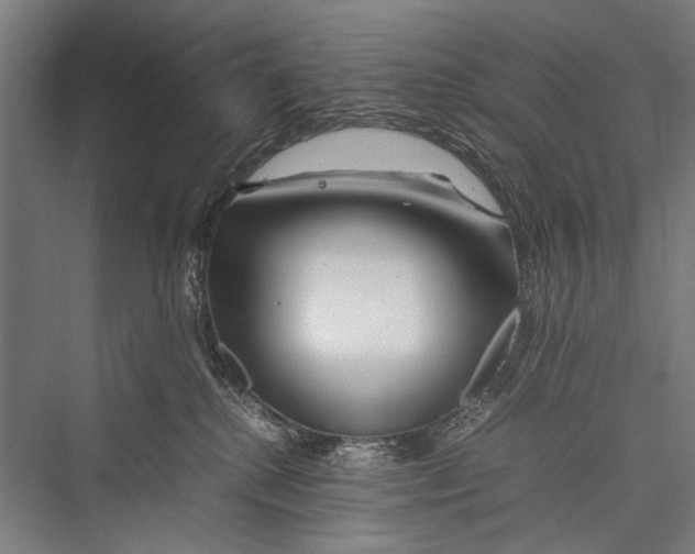 X0000075410280200610062005