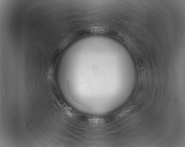 X0000075410281200610062005